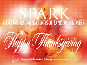 spark-thanksgiving